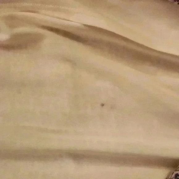 Lily Rose Long Mazi Dress Flare Sleeve Size M Neutral Colors Sheer With Lining - Picture 2 of 16